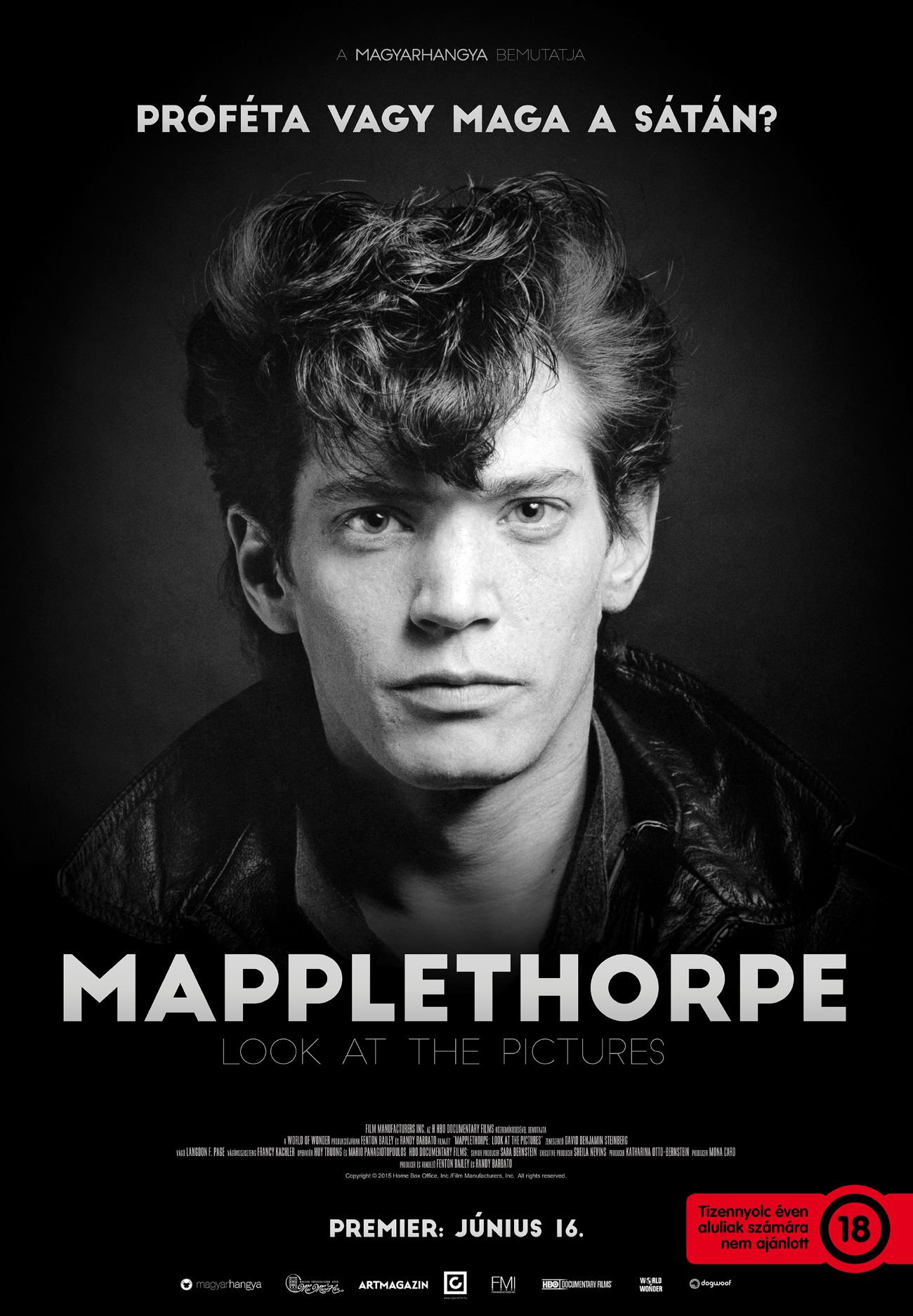 mh_mapplethorpe.jpg