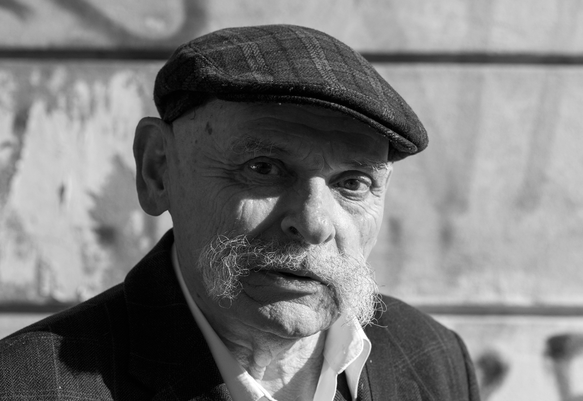 Elhunyt Szilágyi István író