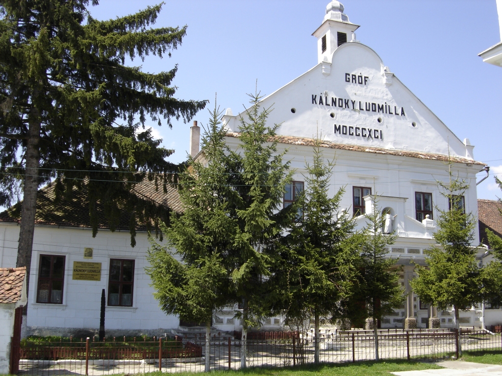 Szájba nyilazott medve az iskolán