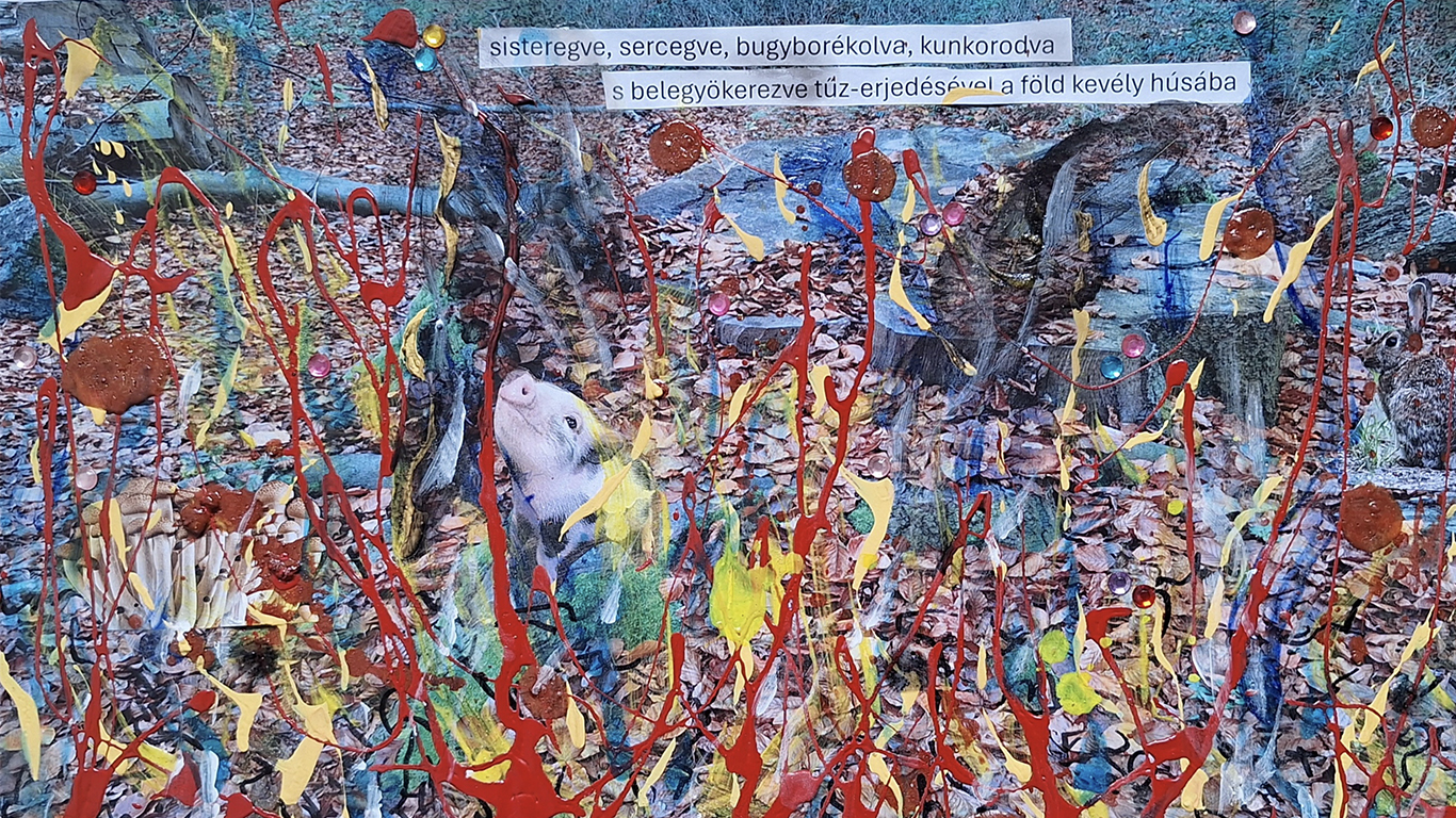 Juhász Ferenc és Barics Sándor