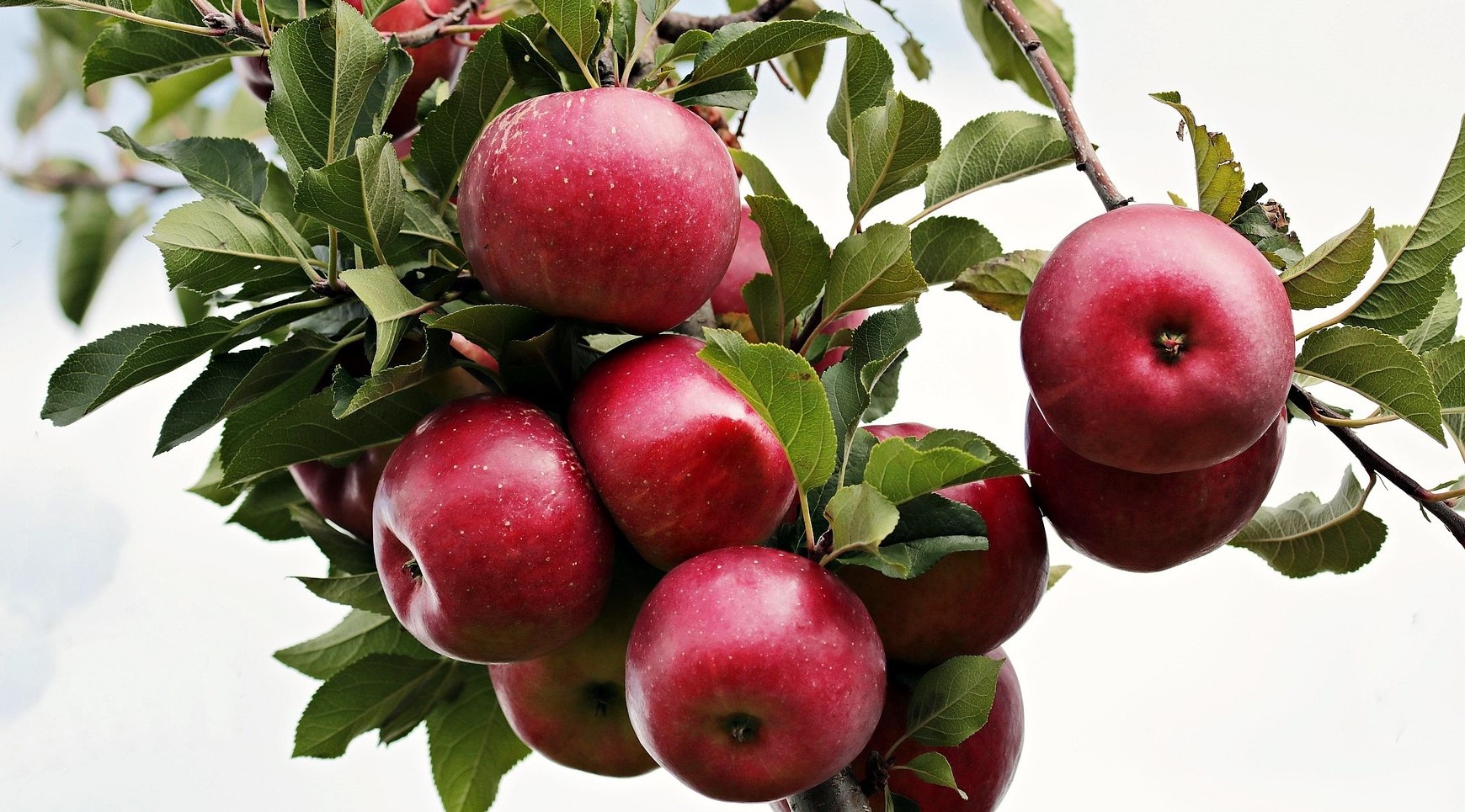 Fél évszázados lemaradásban