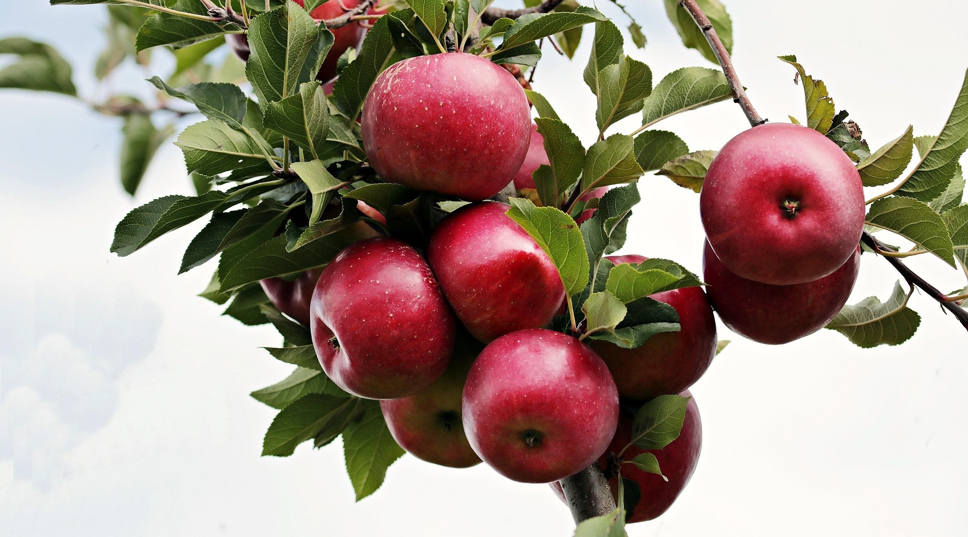 Fél évszázados lemaradásban