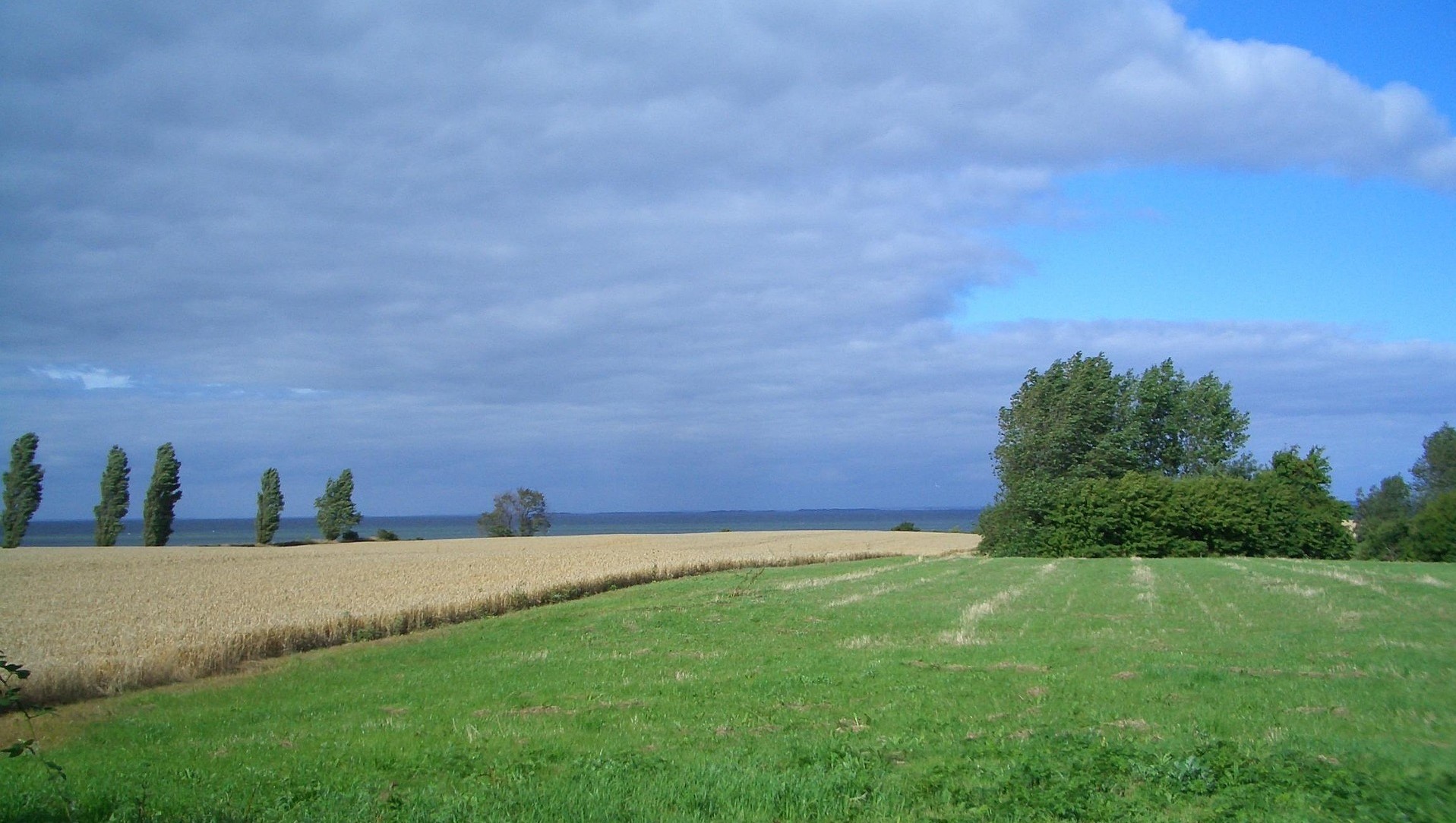 Így zöldítenek a dánok