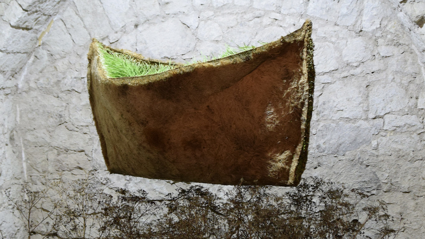 Organikus narratívák