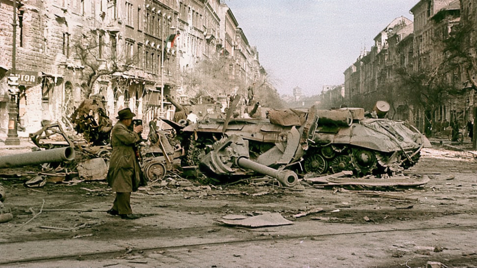 Délvidéki történet – Akartam játszani, 1956