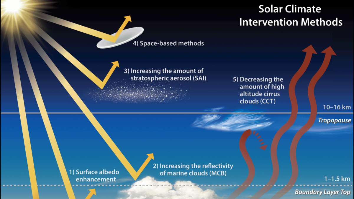 Naptakaró reális terv
