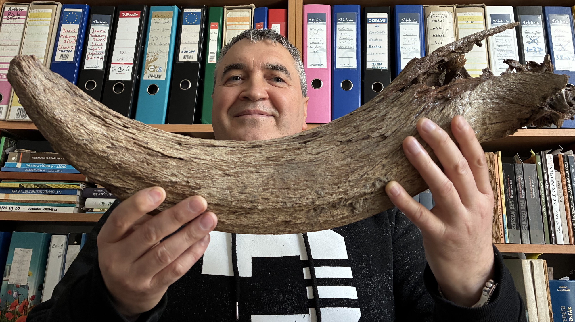 Csillagokkal feldíszített égbolt