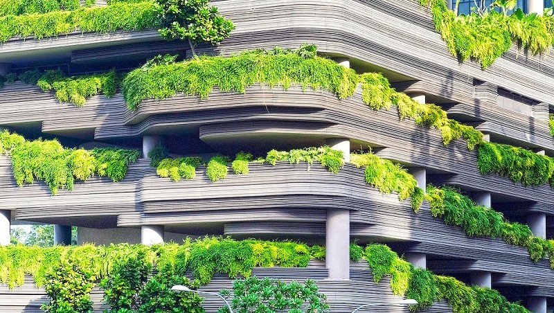 Ötven év múlva, ugyanitt