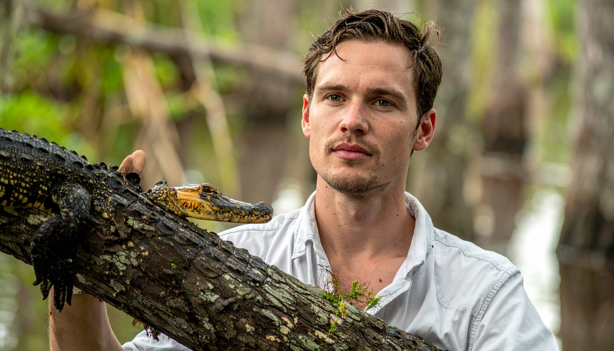 Nagymama harcsája és a pofon