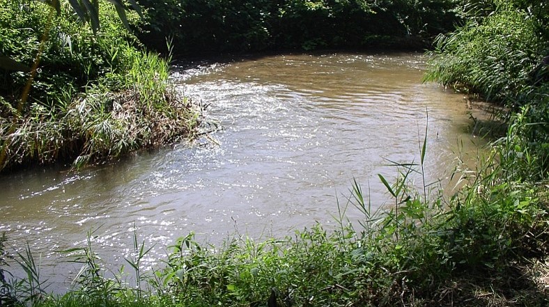 Vonzódunk a patakokhoz