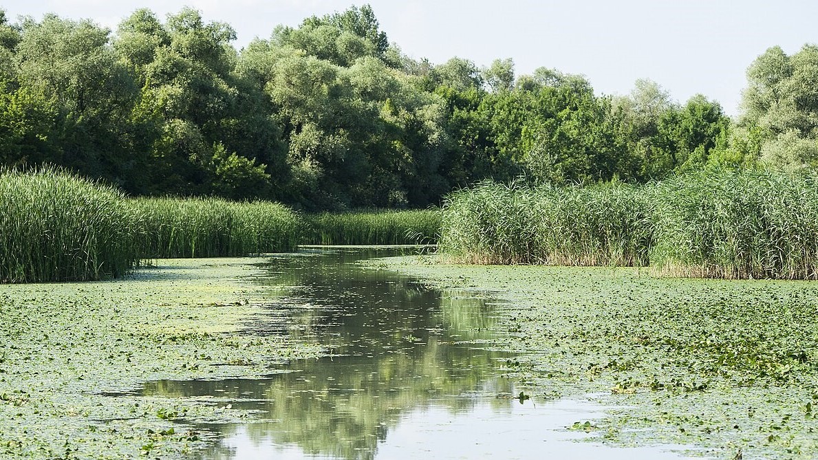 Nemzeti kincsünk a talajvíz