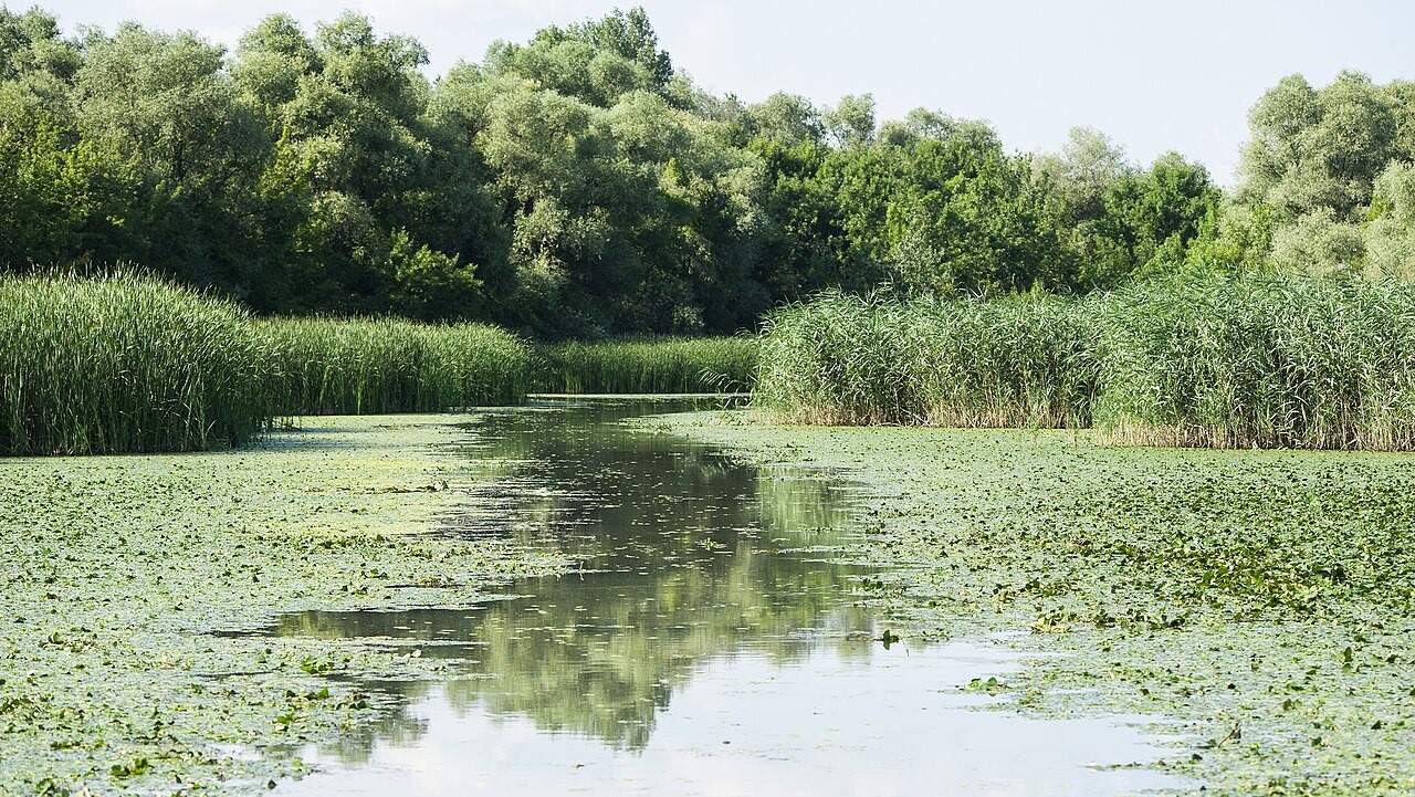 Nemzeti kincsünk a talajvíz