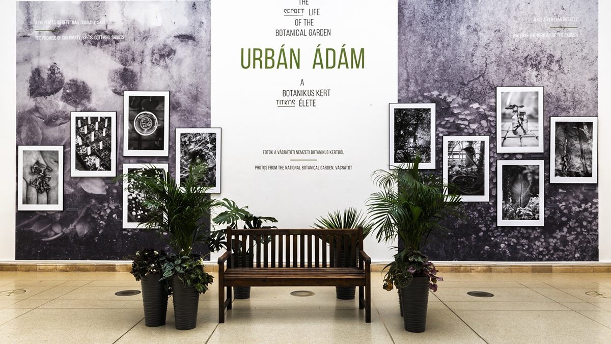 Közelhajló dokumentarista