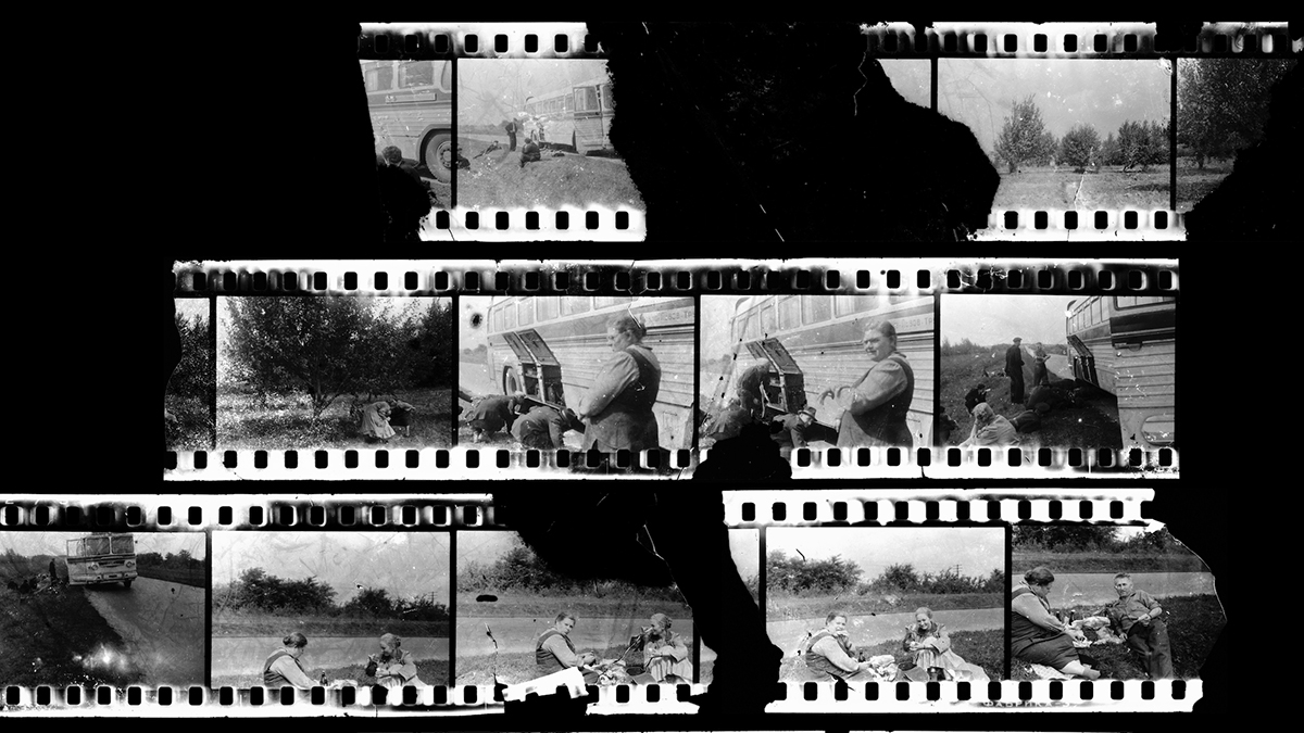 A kollektív emlékezet kurátora