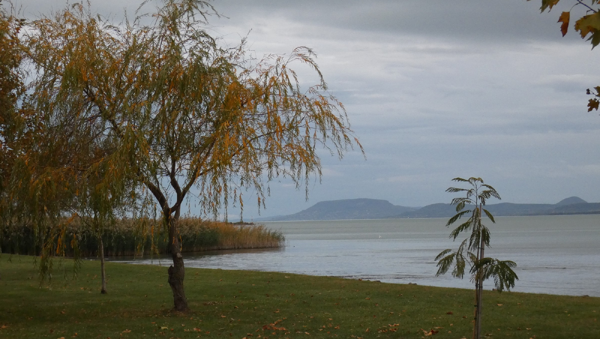 Nem zavarja a sekély víz a természetet