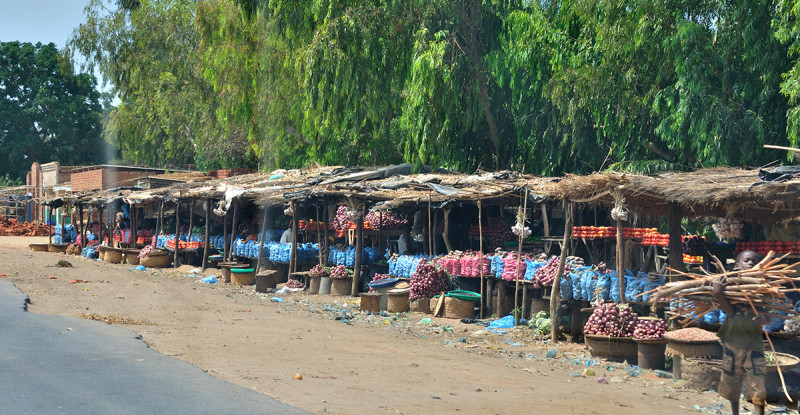 2010 Mocambique and Malawi